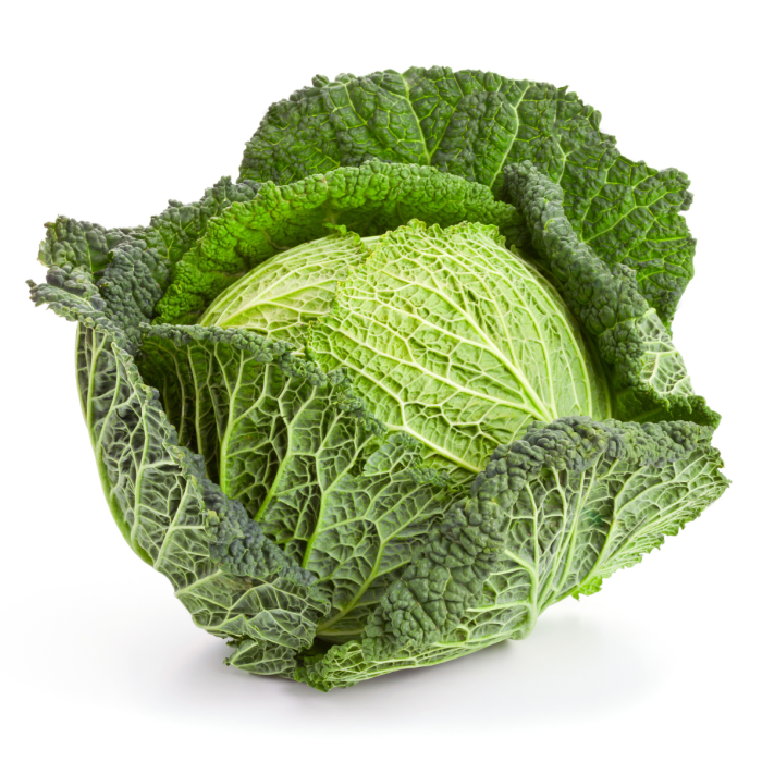 Savoy Cabbage [457]