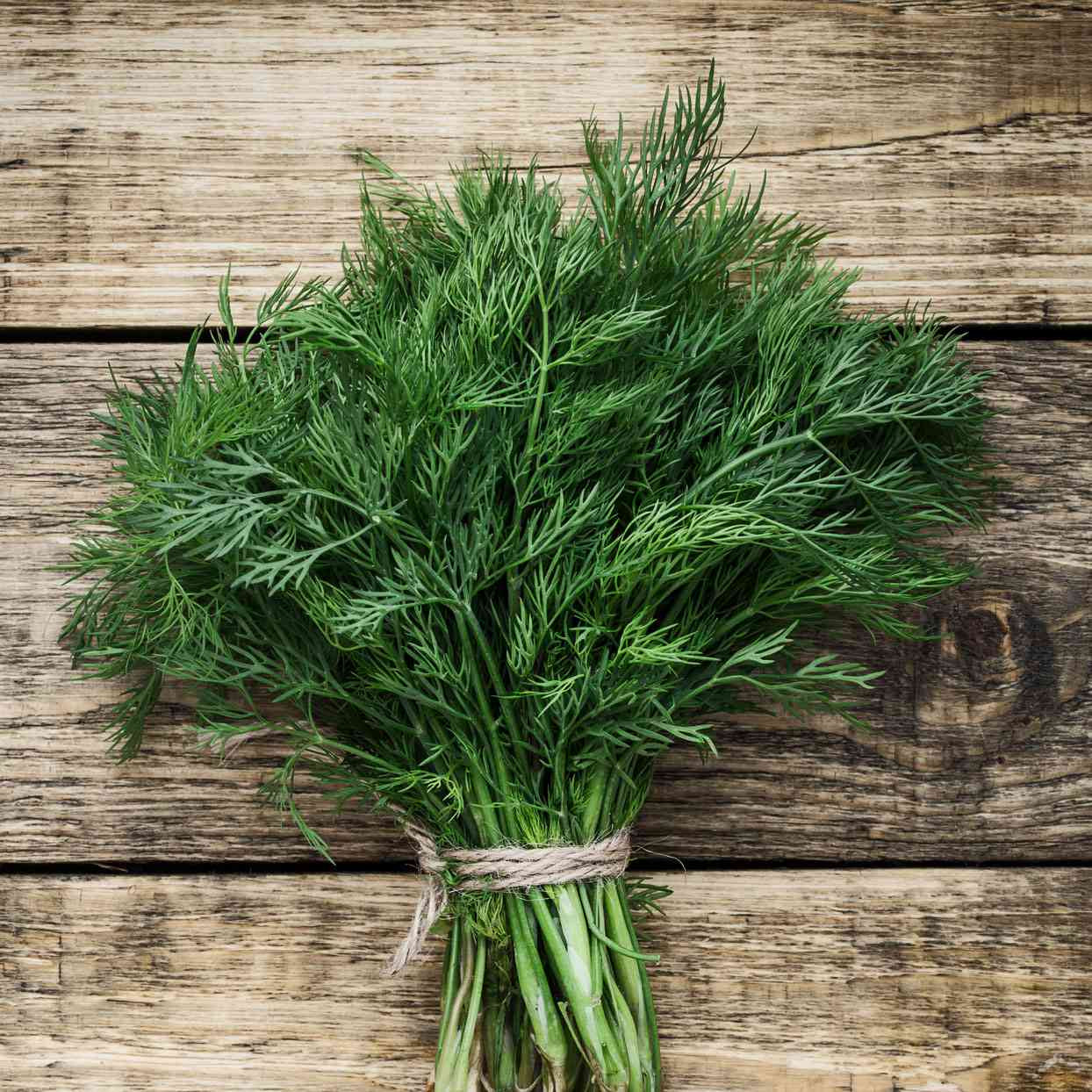 M Fresh Dill 20g